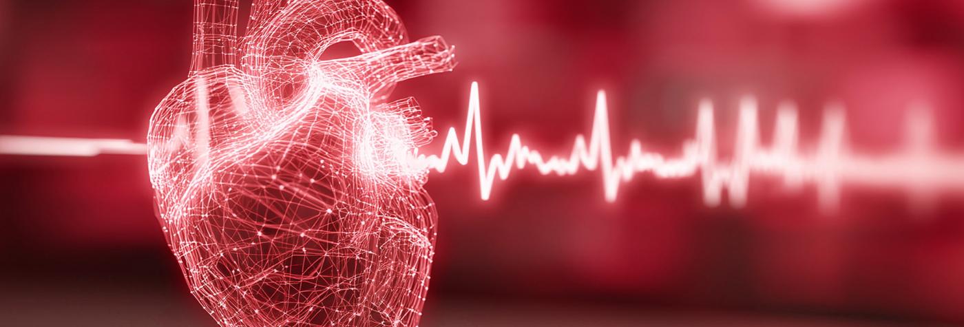 A stylized graphic showing a diagram of a heart with an EKG line running through it.