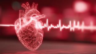 ACLS Provider 2-Day Course #40214
