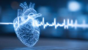 BLS Healthcare Provider Course #40126