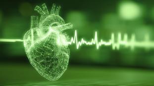 Pediatric Advanced Life Support Renewal #40282